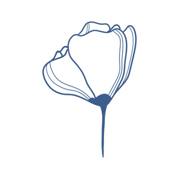 image4.jpeg