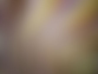 Peinture, dessin, sculpture, créer ça fait du bien