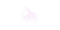 Screenshot 2025-09-09 at 15.27.19.png