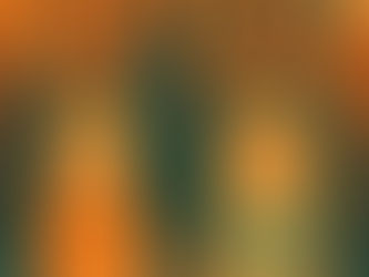 Dear Diary: Flying with Children