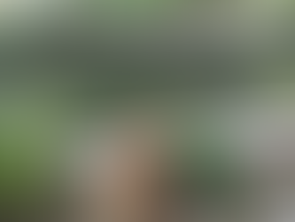 Dear Diary: Traveling With Children