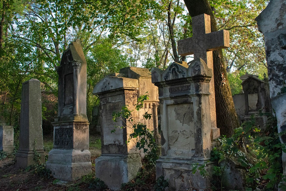The scary sides of Vienna