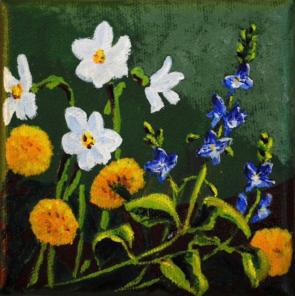 Spring Wild Flowers