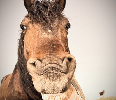 See All AmberCare Articles.jpg