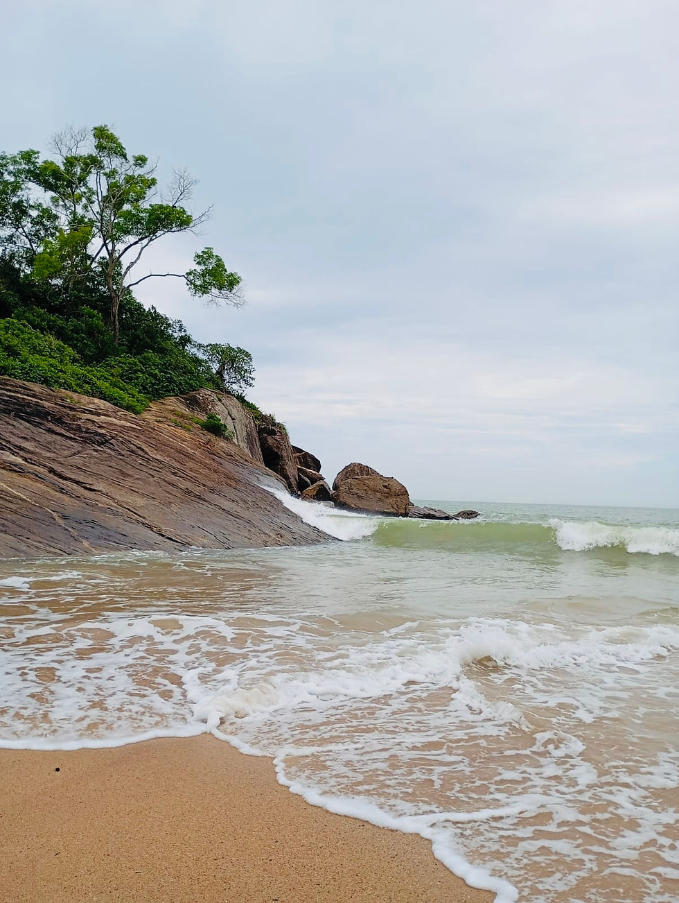 0c6186a5-8f3d-493a-a3e9-5b1e7ccc0f70