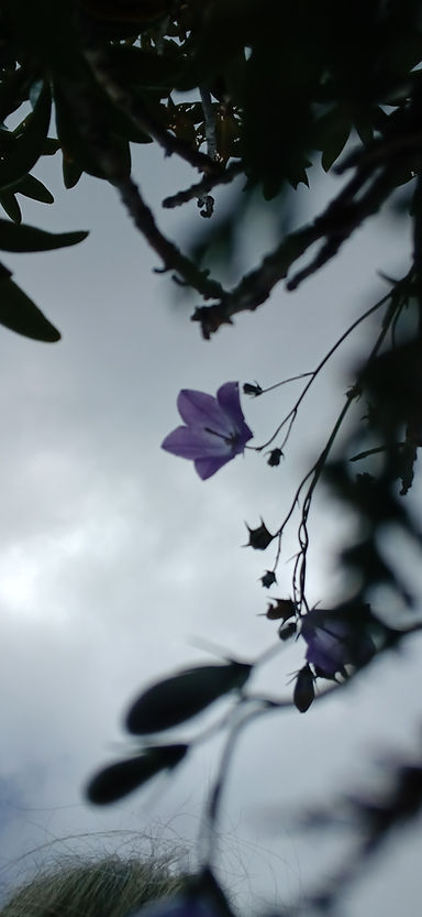 20250726_140716.jpg