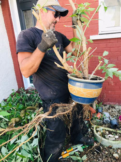 9c577f4c-c44c-4a07-bee5-b47bf5401245