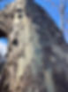IMG_0068.jpeg