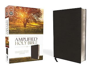 Amp Bible.jpg