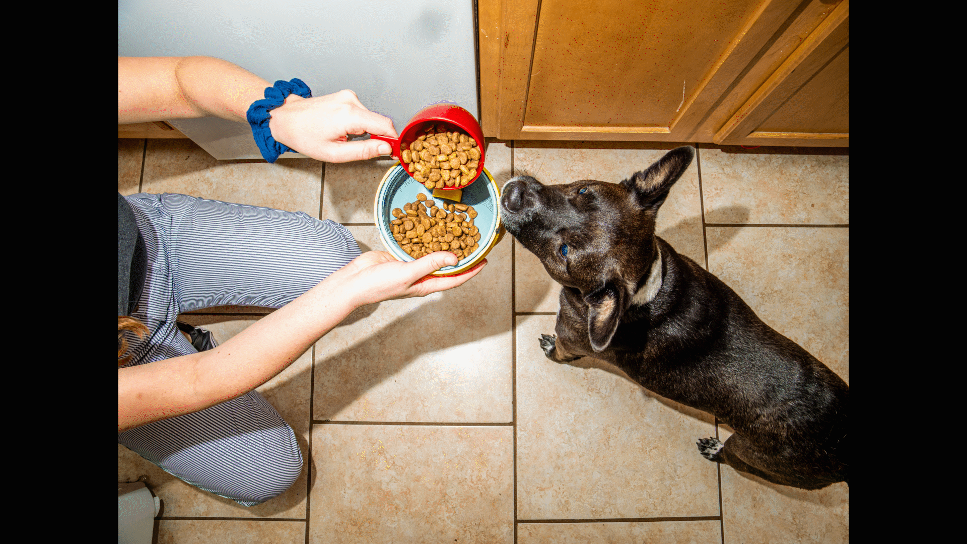 Twist and Snout_Mental