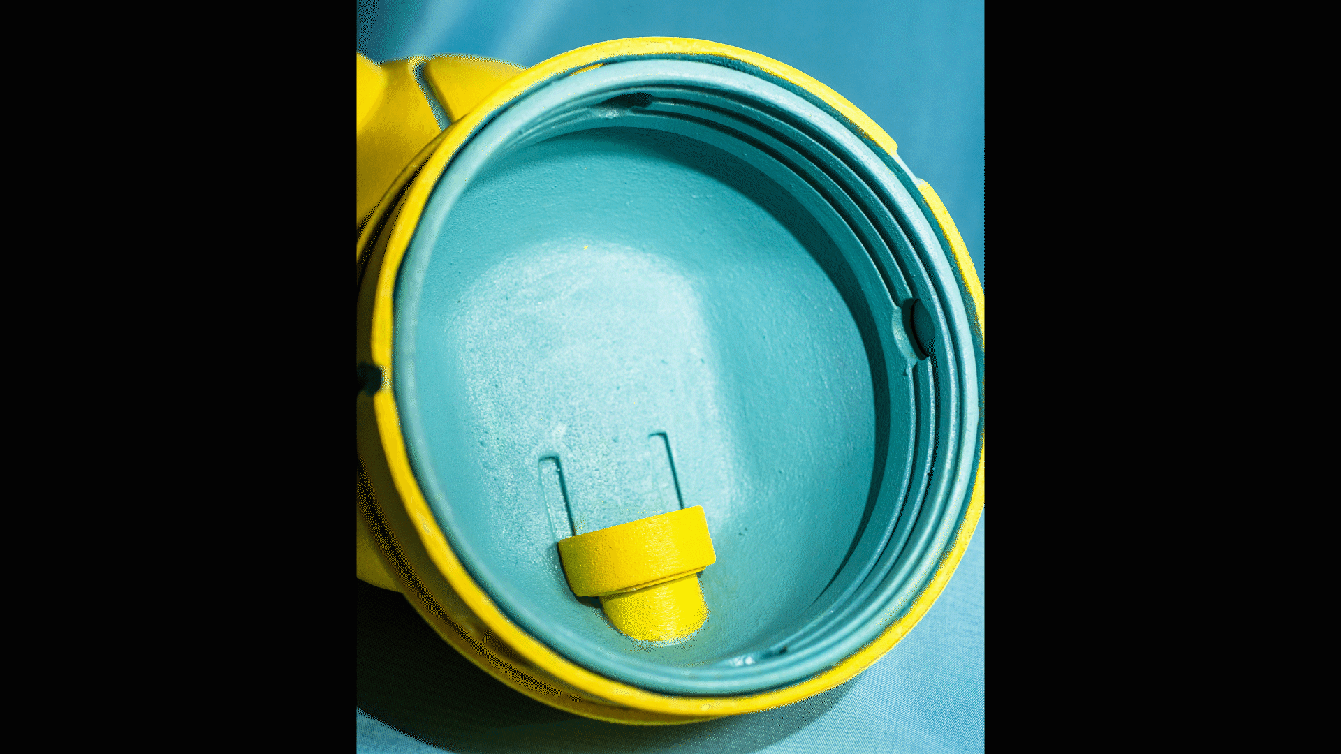 Twist and Snout_Mental