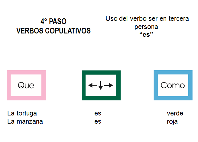 Paso 4
