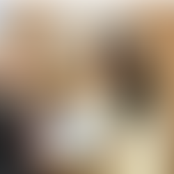 Denuncia penal contra diputada libertaria por traición a la patria por defender los intereses de Israel e insultar a nuestra bandera argentina