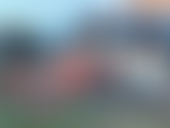 Fascismo puro: Nacho Torres y Milei allanaron a comunidades mapuches en Chubut afectadas por los incendios