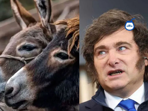 La venta de carne de burro en Chubut agotó su stock en tiempo récord: "En un día y medio no quedó nada"