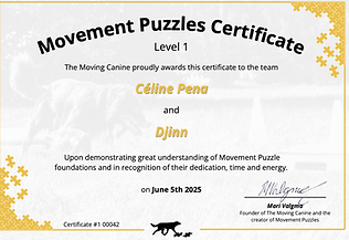 Capture d’écran 2025-06-05 à 09.59.52.png