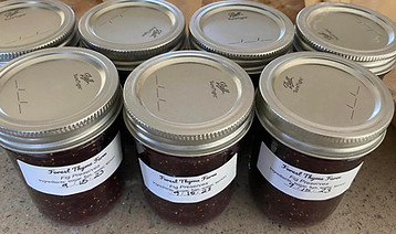 fig preserves.jpg