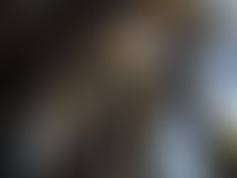 外来樹をバイオ炭にー米カリフォルニア州で進む湿地保全と山火事対策