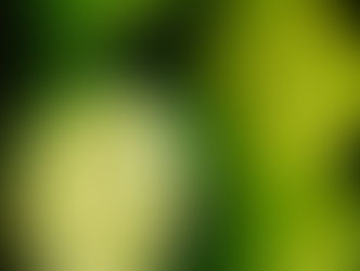 果物由来のバイオ炭、有害化学物質を高速除去