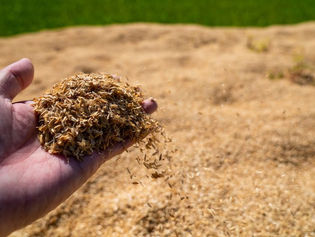 ヤンマー、もみ殻処理で脱炭素を