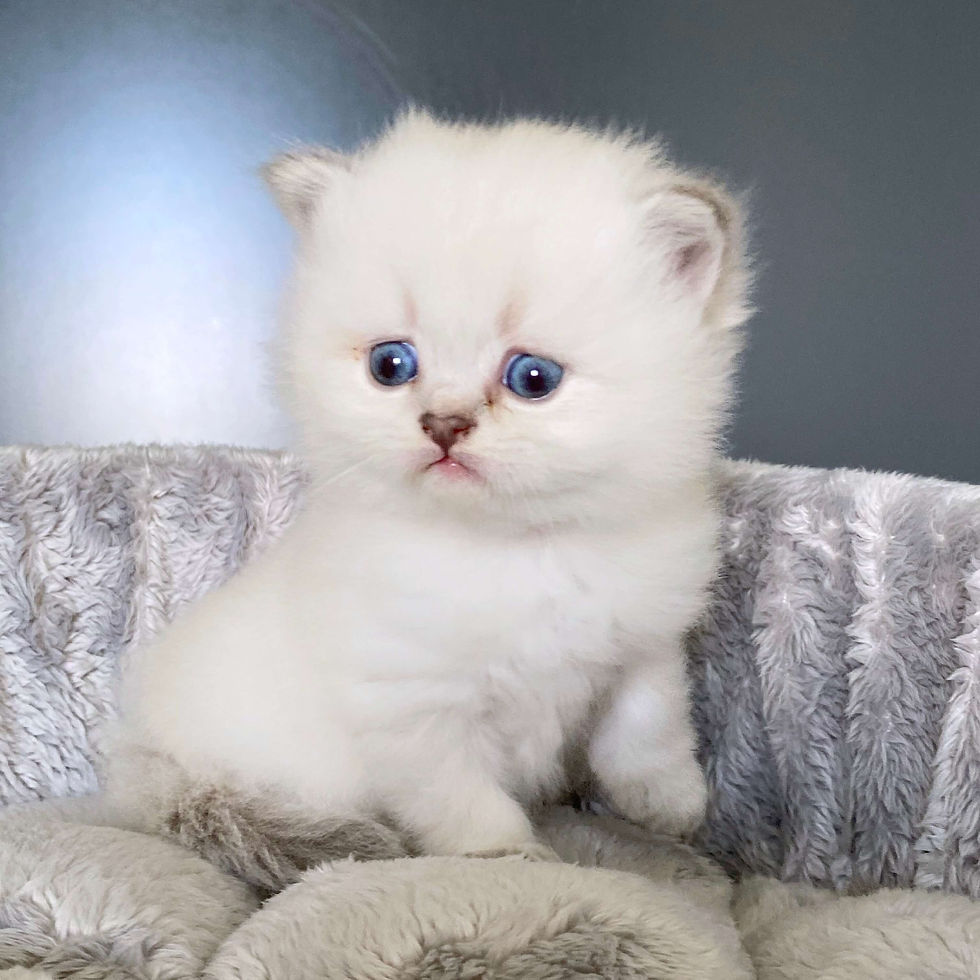 rhea 1 mois