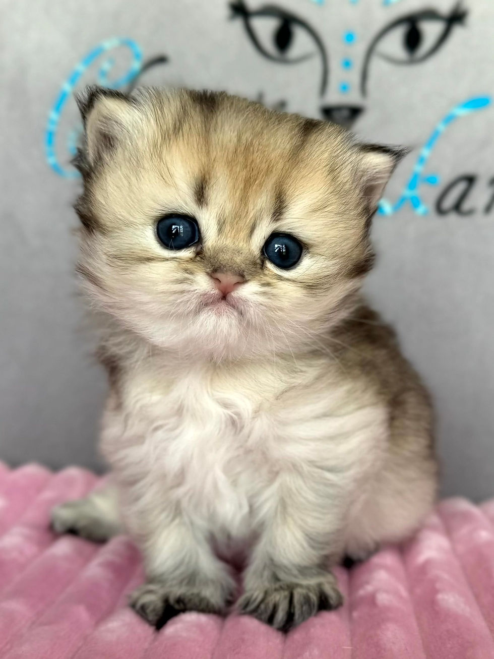 ayumi 1 mois