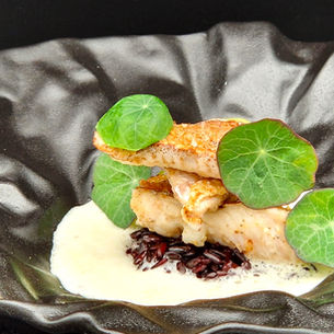 Gebratener Seekuckuck, Riso Nero und Navettenschaum