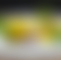 Ananas-Ravioli mit Koriander auf Passionsfruchtmousse mit Kurkumaeis