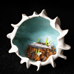 Sierra Wahoo, Mesquite, Capulín del Monte