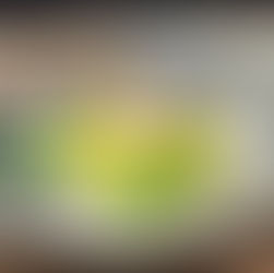 Jakobsmuscheln auf Maispüree, Wachtelei und Trüffelmayonnaise