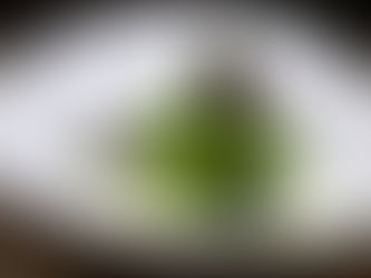 Knödel und mehr vom Schwarzkohl mit Schaum vom Harzer Bauernhandkäse