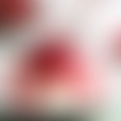 Coulis