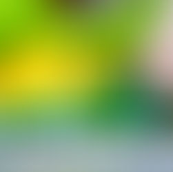Nutriscore