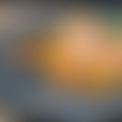 Rotbarbe, scharfe Aprikose und Basilikumöl