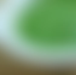 Grüne oder rote Shatta