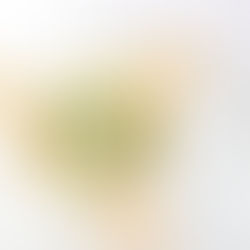 Risotto mit Stockfisch, Kartoffeln, Löwenzahn und Sardellenpulver