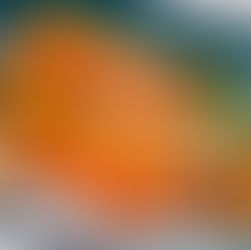 Rotbarbe „vom Meister in Szene gesetzt“, mit der gebundenen Jus der Barben-Leber