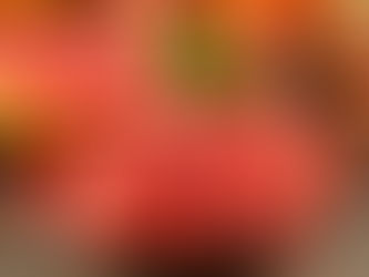 Grapefruit