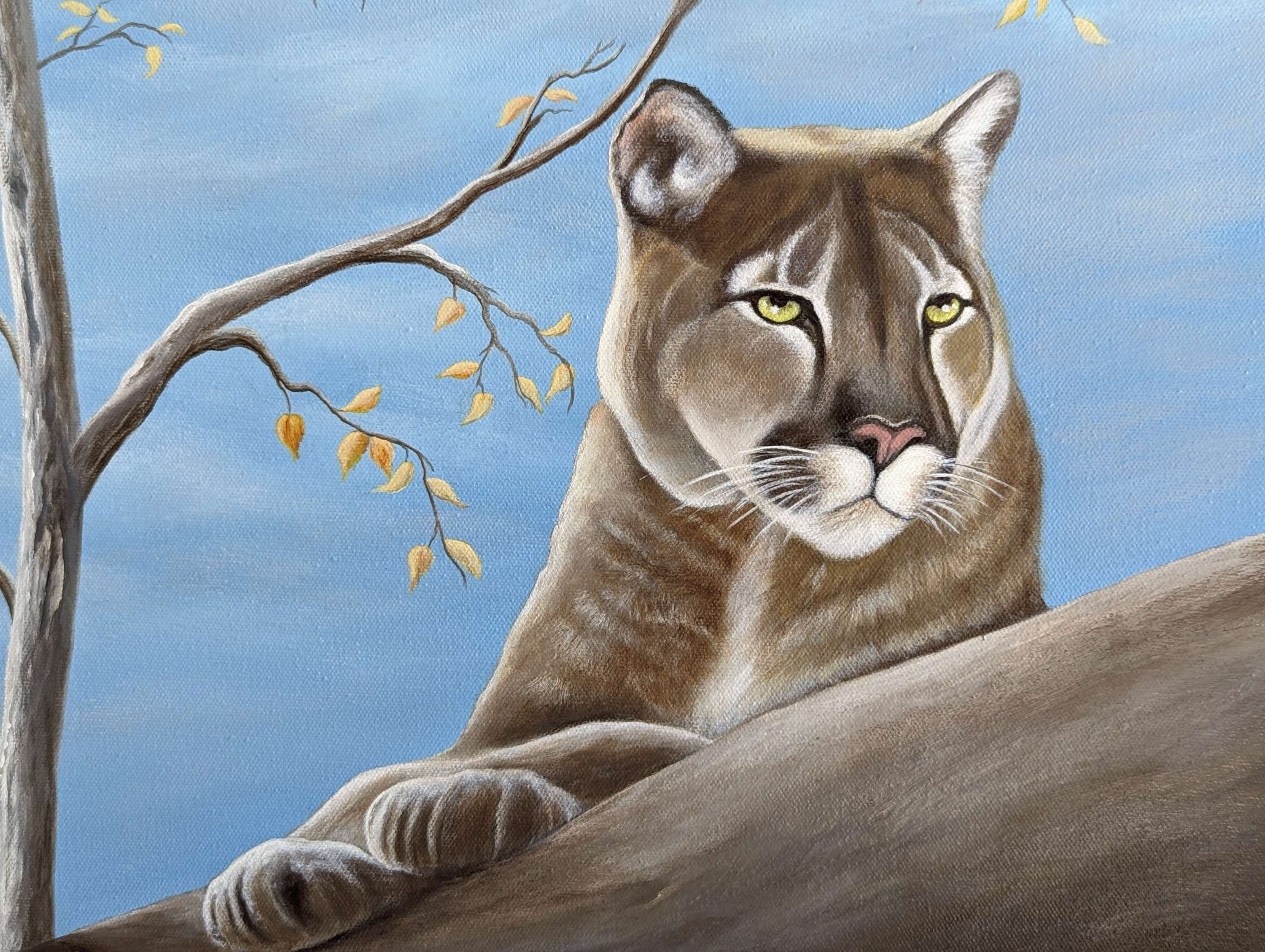 "Mountain Lion - King Of The Hill". 