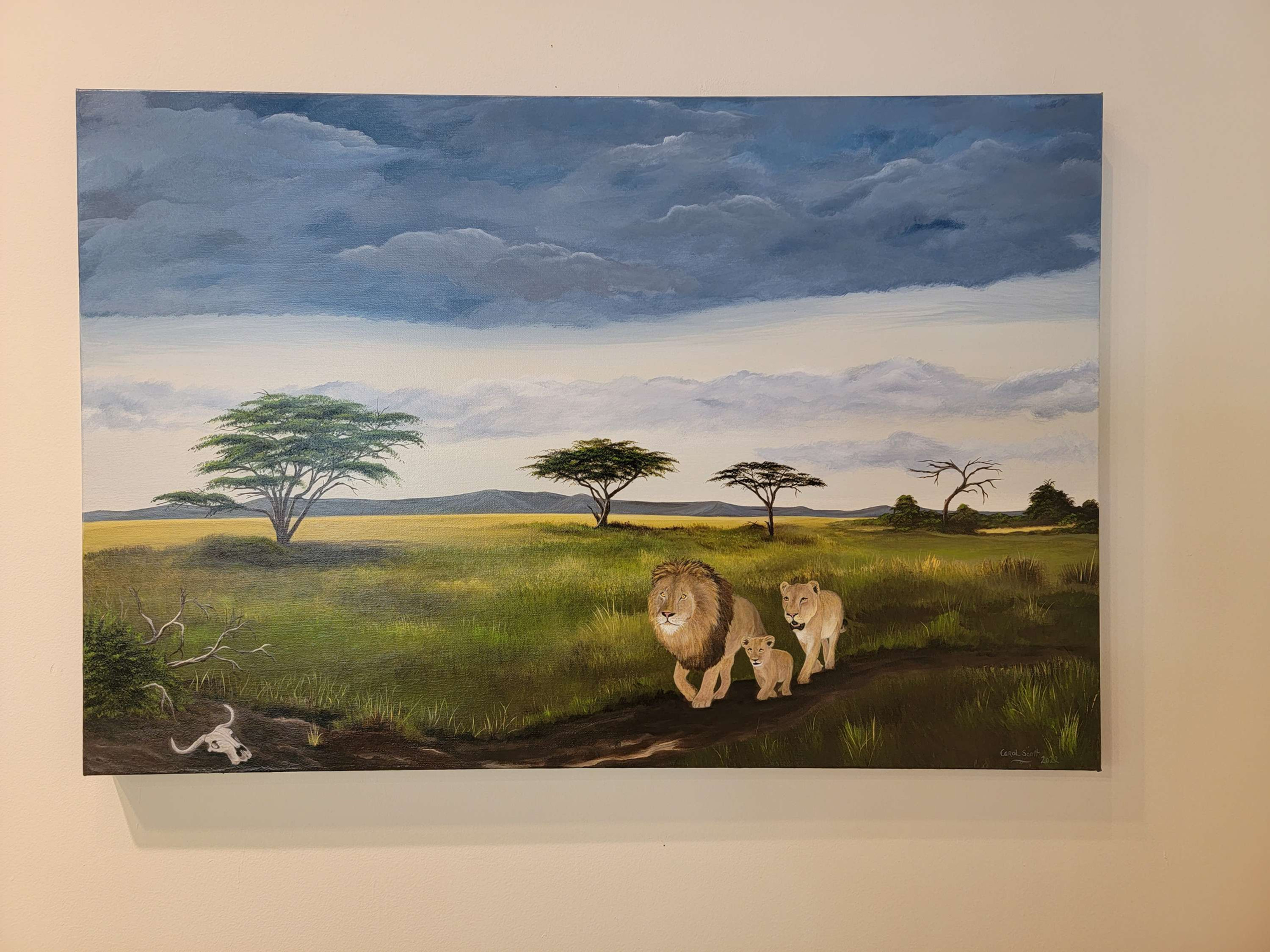 "Serengeti lions" 