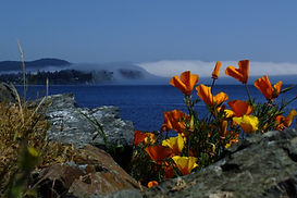 DSCF6195.JPG