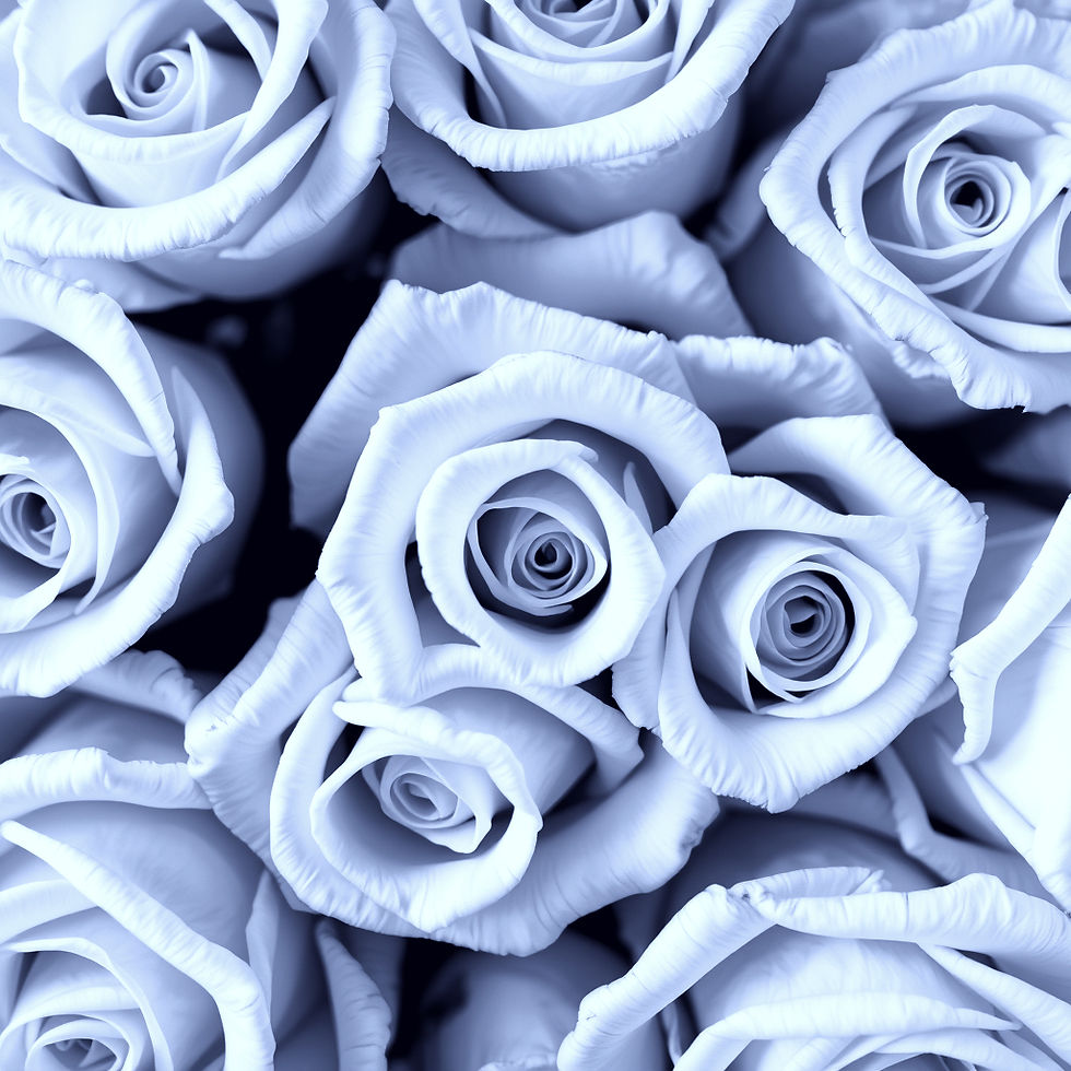 download (1)_edited_edited.jpg