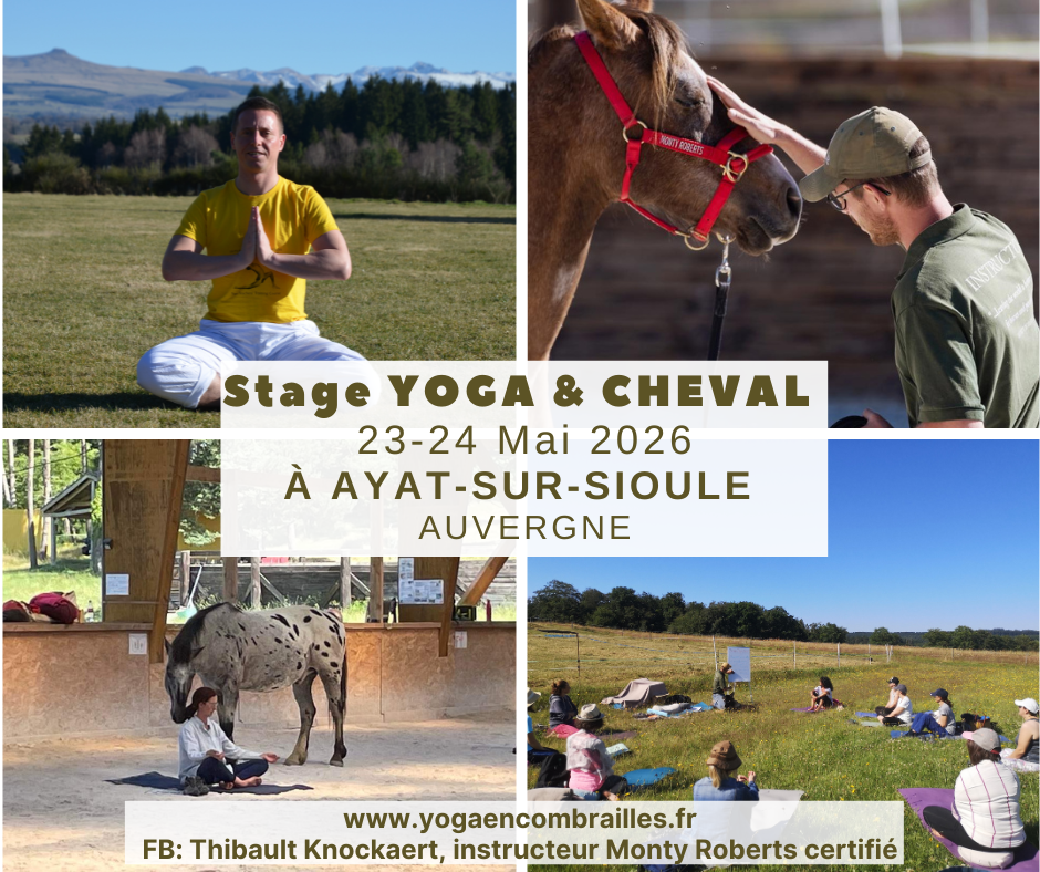 Yoga Cheval Juin 26.png