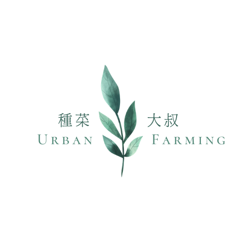 Writer: 種菜大叔