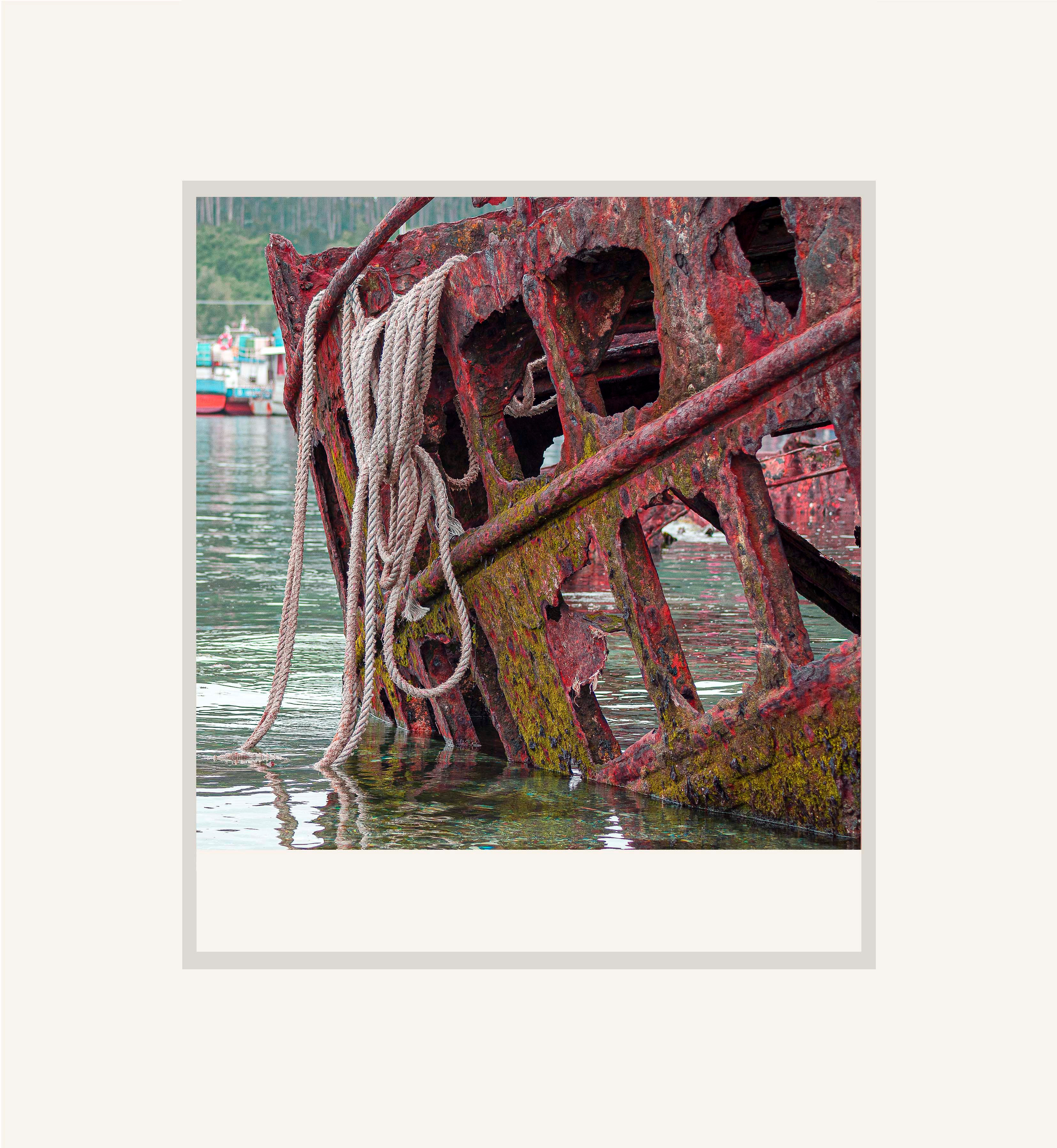 Conoce nuestra galería de fotografías marinas con un estilo diferente, Babacu Arte.