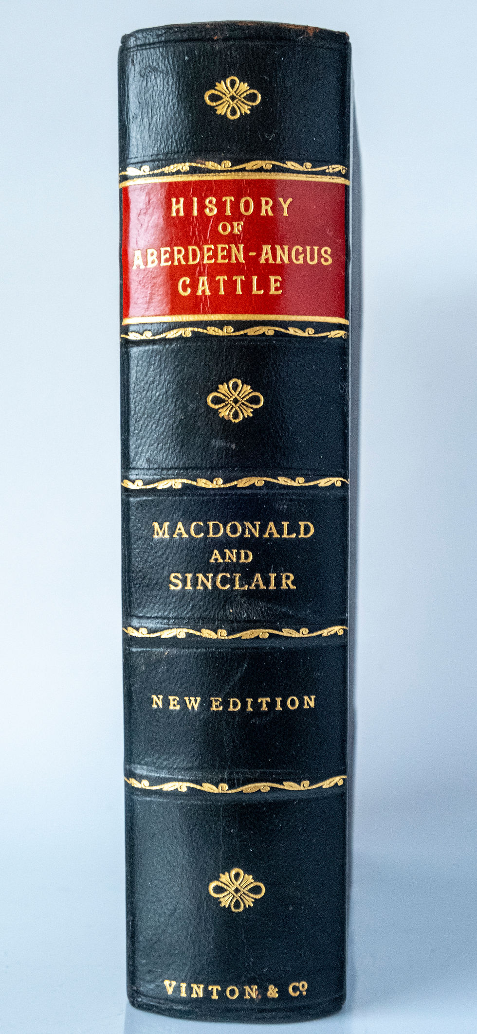 Thumbnail: History of Aberdeen-Angus Cattle