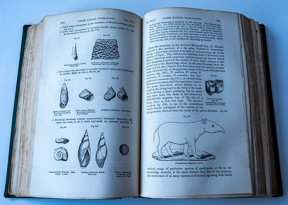 Thumbnail: Elements of Geology by Sir Charles Lyell - Sixth Edition