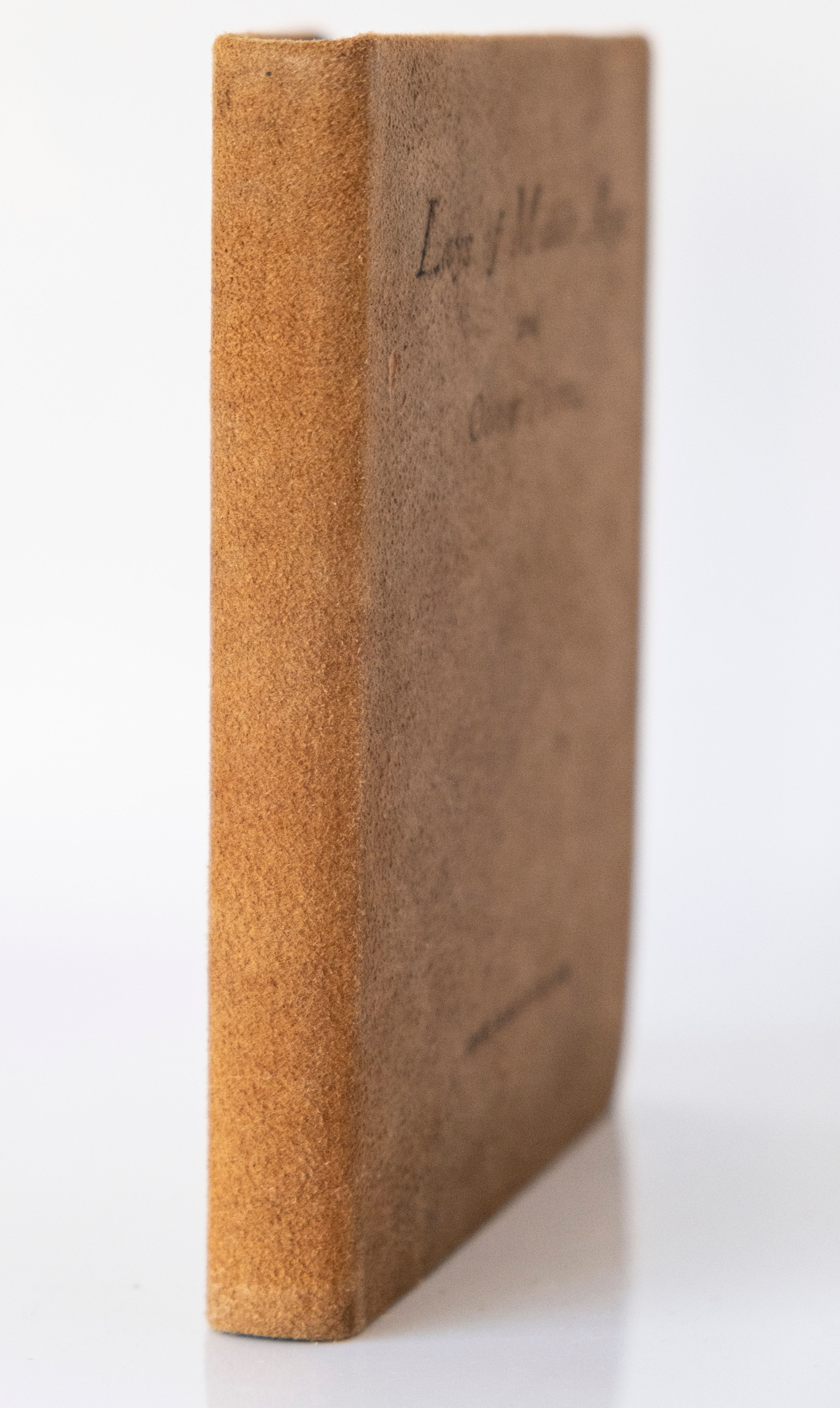 Lays of Middle Age and Other Poems