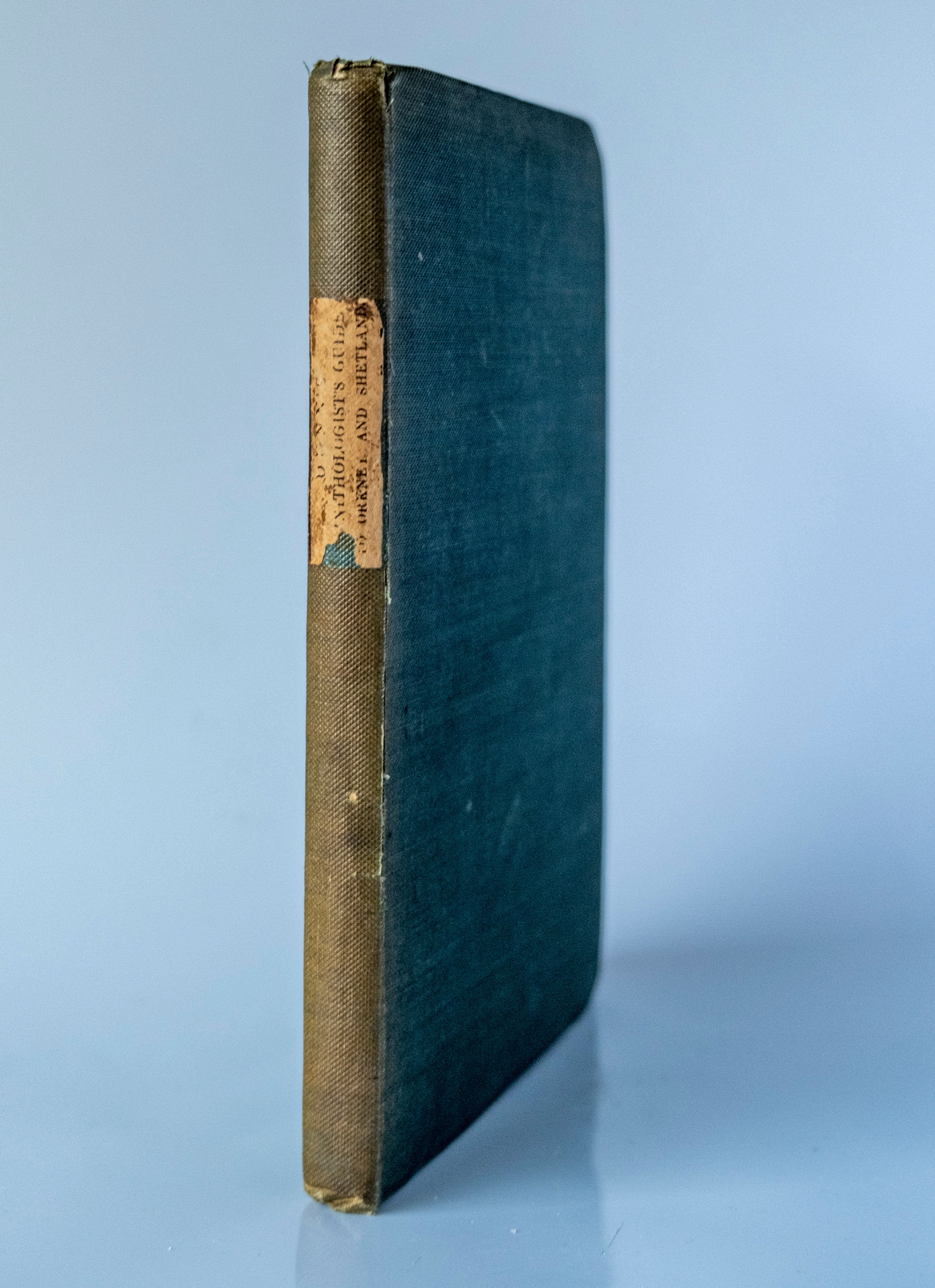 Ornithologist's Guide to the Islands of Orkney and Shetland