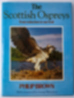 The Scottish Ospreys - From extinction to Survival